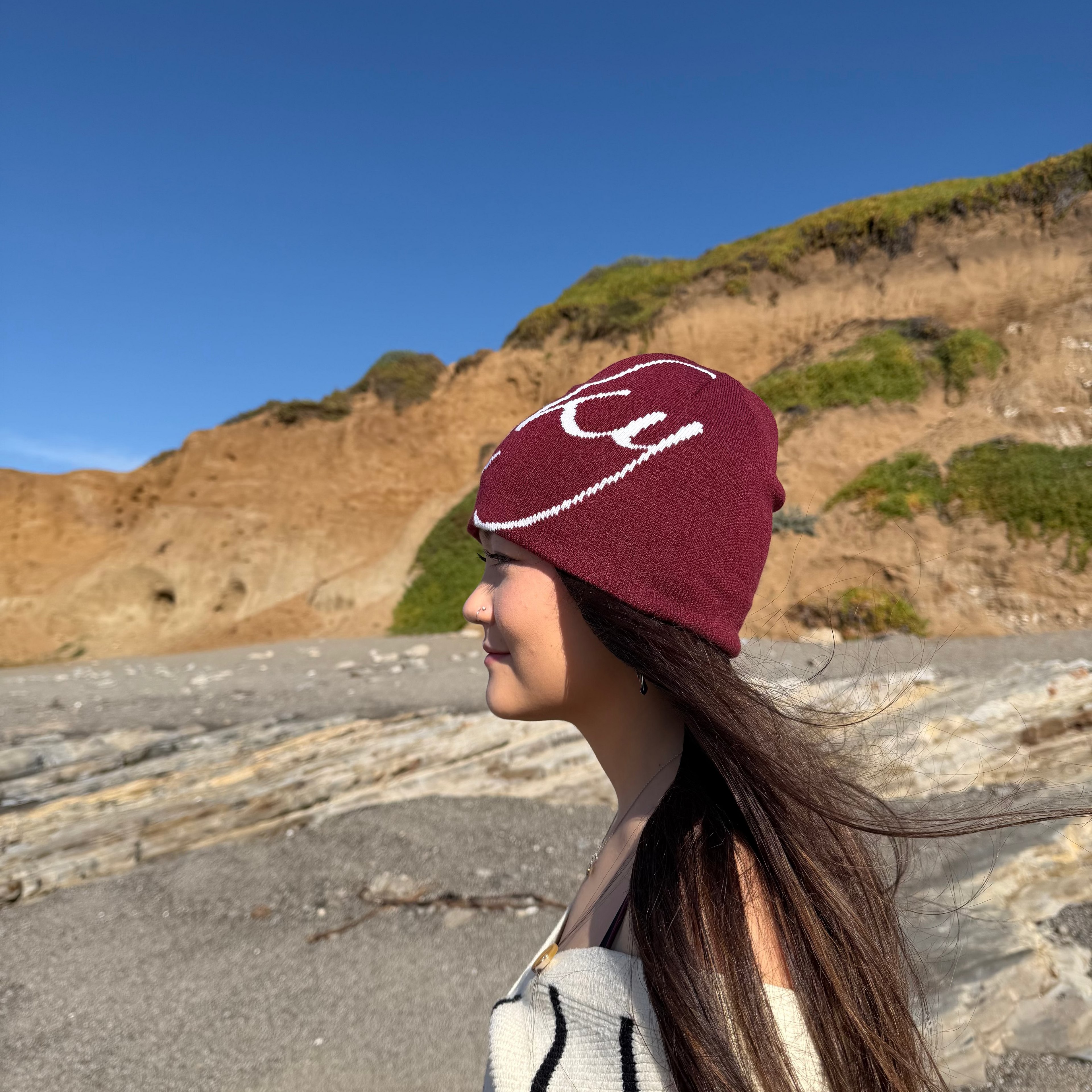 Risky Jacquard Knit Beanie